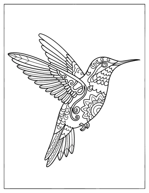 Ornate Hummingbird with Floral Patterns in Flight