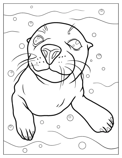 El rostro de una foca aparece de cerca.