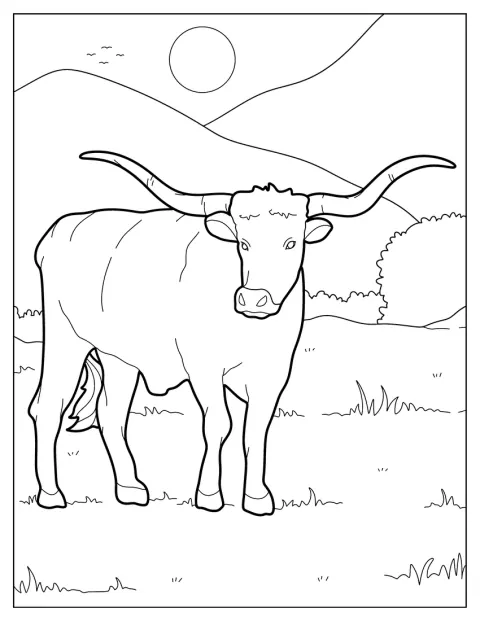 Teksański longhorn stoi z szeroko rozłożonymi rogami.