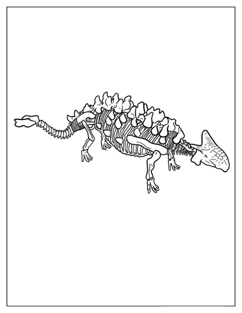 Et enkelt Ankylosaurus-skjelett står framstilt i profil.