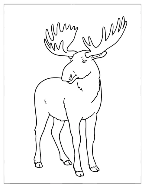 Un alce muestra sus enormes astas en un dibujo sencillo.