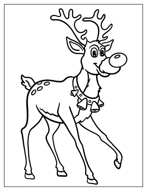 Rudolph trägt ein Halsband mit kleinen Glöckchen.