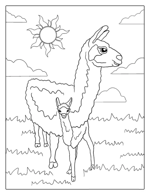 Una mamma lama sta accanto al suo piccolo.