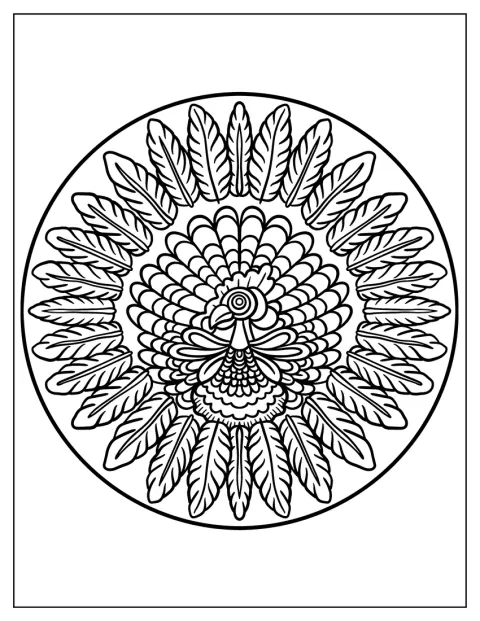 羽根の模様を細かく描いた七面鳥の曼荼羅です。