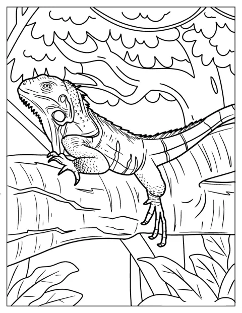 Uma iguana ergue a cabeça enquanto está pousada num ramo de árvore.