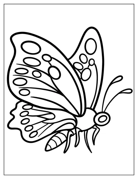 Un grand papillon vole dans les airs, les ailes largement ouvertes.