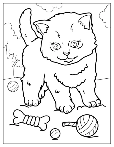 Na relva, um gatinho brinca com vários brinquedos.