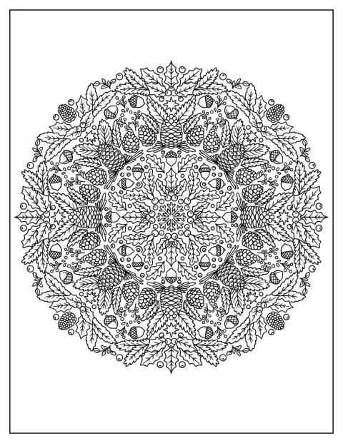 Pigne e agrifoglio compongono una ghirlanda natalizia dal motivo mandala.