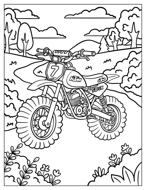 Una KTM 50 SX percorre un sentiero tra i campi.