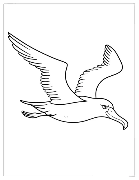 アホウドリが大きな翼を広げ、空を滑るように飛んでいます。