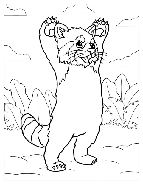 A kedves vörös panda felemeli mindkét mancsát.