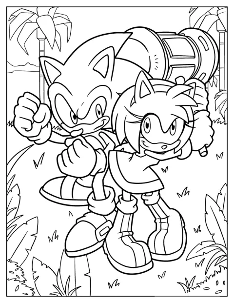 Amy Rose e Sonic enfrentam juntos um adversário.