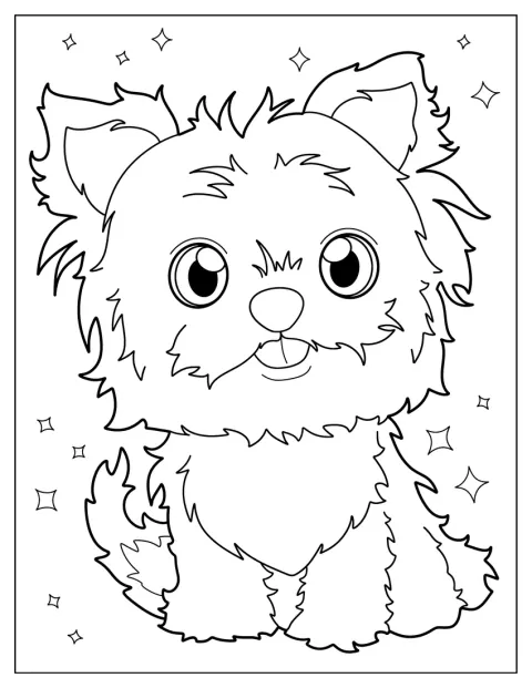 Yorkshire terrier siedzi z długą, jedwabistą sierścią.