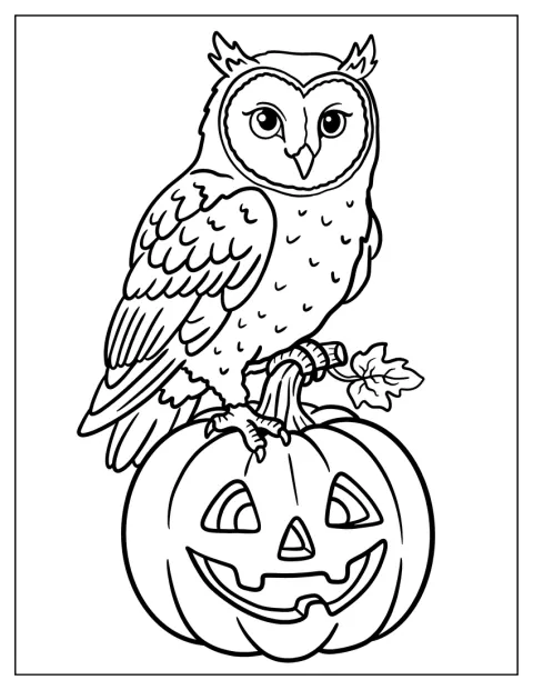 En uggla sitter på en halloweenpumpa.