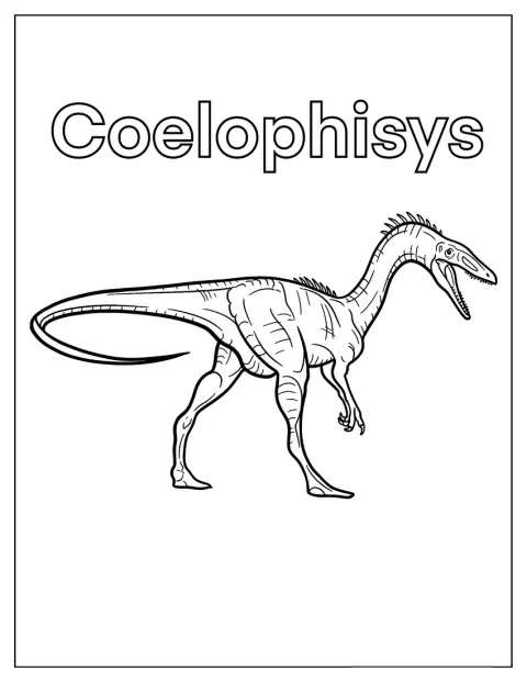 Coelophysis seisoo selkeässä, helposti hahmotettavassa asennossa.