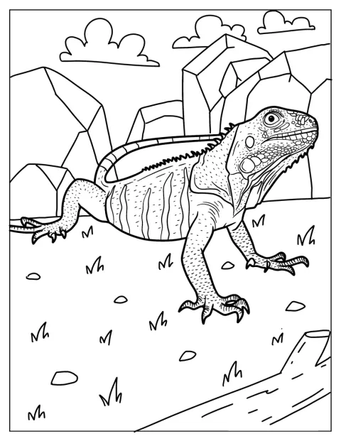 Un’iguana verde cammina sull’erba.