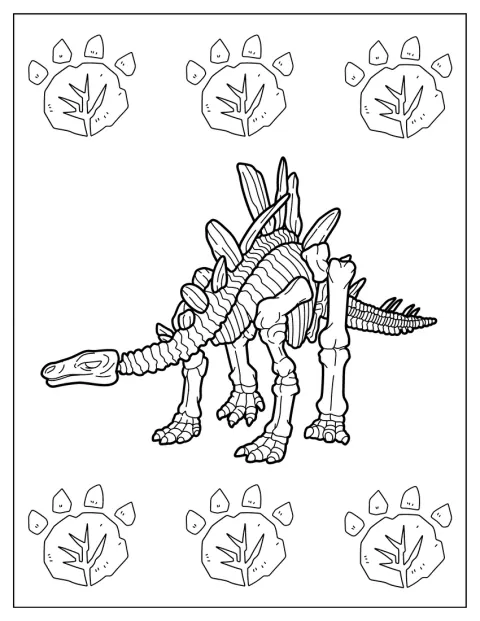 Stegosaurus Coloring Page Skeleton