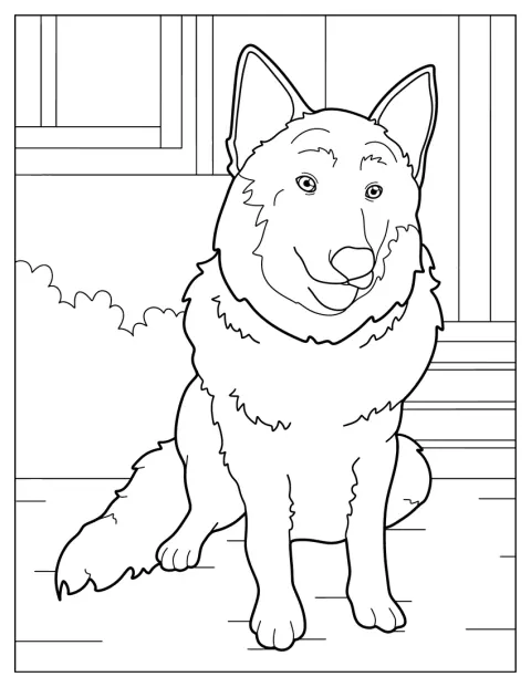 Un berger belge malinois est représenté de profil, avec des contours nets.