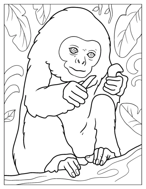 Ein junges Hanumanlangur sitzt ruhig und blickt neugierig nach vorn.