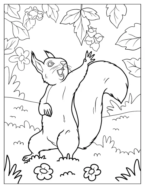 Jesienią wiewiórka wspina się, by dosięgnąć orzechów.