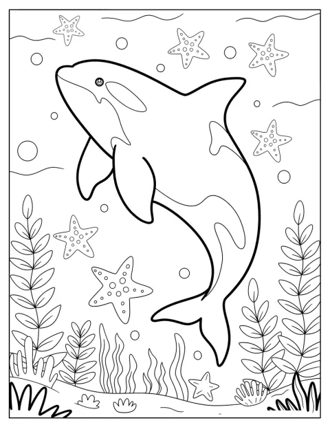 Uma orca nada no mar rodeada de estrelas-do-mar.