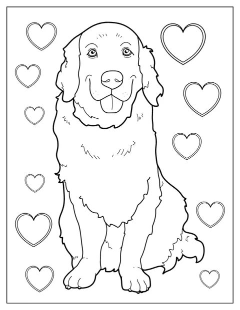 Dorosły golden retriever spokojnie stoi i patrzy przed siebie.