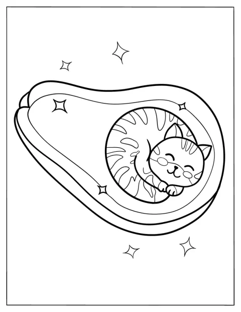 Um gatinho dorme aconchegado no caroço de um abacate.