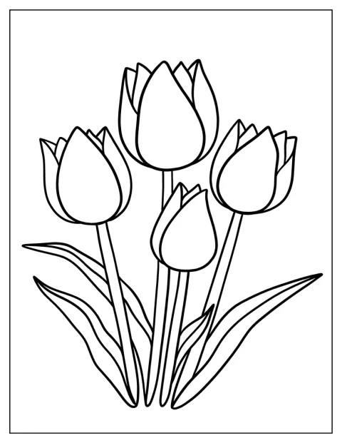 Des tulipes aux silhouettes faciles à reconnaître se dressent côte à côte.