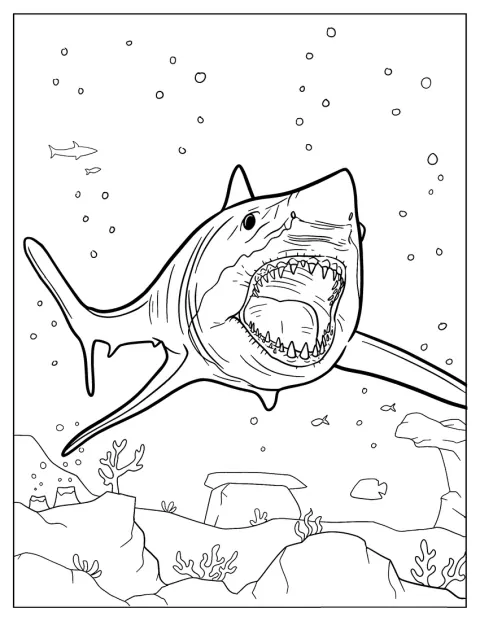 Przerażający megalodon pokazuje ostre zęby w szeroko otwartej paszczy.