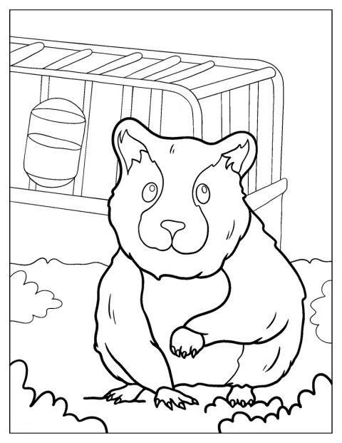 Un hámster está fuera de su jaula.