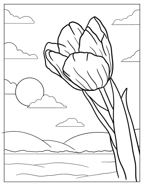 Tulip Flower Growing In The Sun