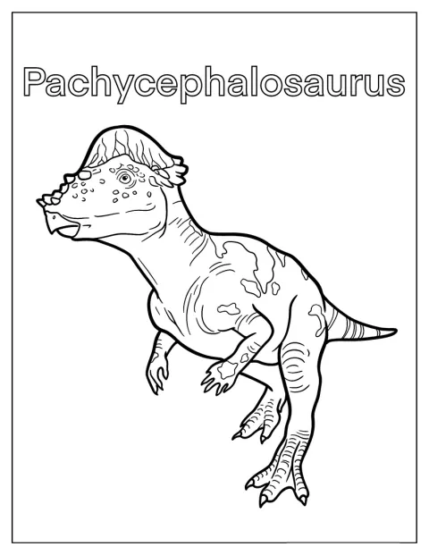 Der Pachycephalosaurus ist mit vielen feinen Details dargestellt.