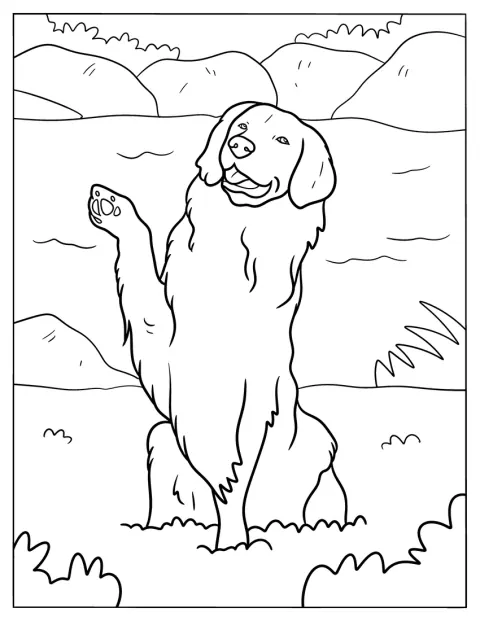 Un golden retriever lève une patte, prêt à saluer.