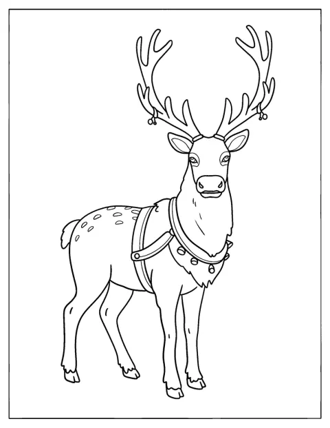 Rudolph lleva un arnés adornado con cascabeles.