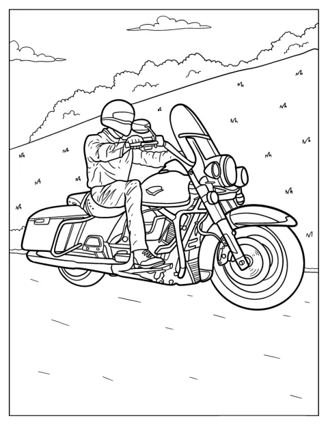Un bărbat conduce o motocicletă Harley Davidson pe șosea.