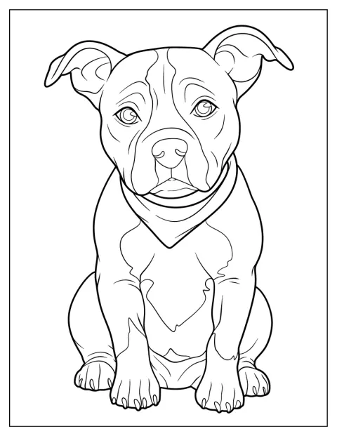 Un pitbull adulto è raffigurato con dettagli realistici.