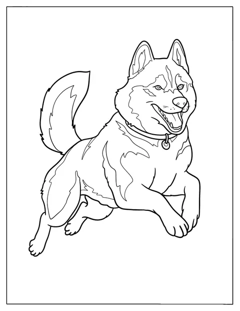 Mit Halsband springt ein realistischer Husky kraftvoll durch die Luft.