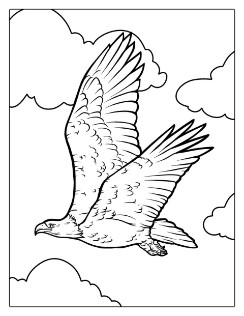 Un águila calva vuela con sus impresionantes alas desplegadas.