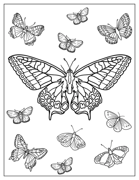 Una mariposa macaón del Viejo Mundo extiende sus alas.