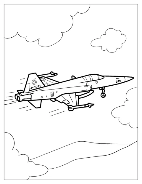 Et F-5-fly fra det sveitsiske luftforsvaret flyr i stor fart.