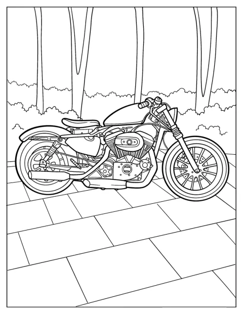 Harley Davidson Coloring Page Iron 883