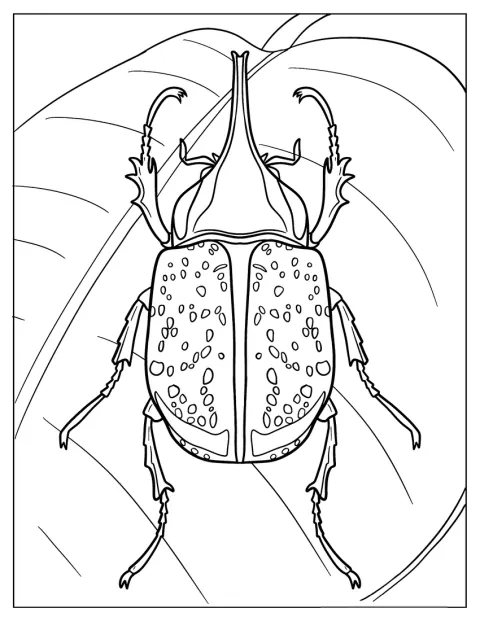 Eastern Hercules Beetle Coloring Page