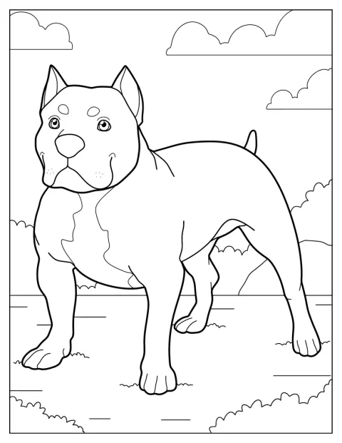 成犬のブルドッグが、穏やかな表情で座っています。