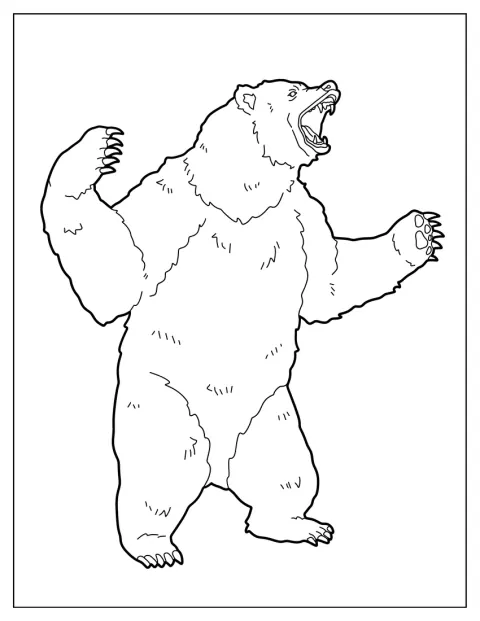 Scary Bear Coloring Page Roaring While Standing