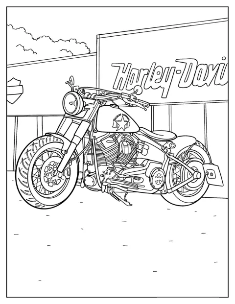Eine Harley-Davidson XDR im GT-Rennstil ist abgebildet.
