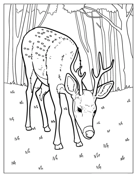 Un cerf réaliste broute dans la forêt.