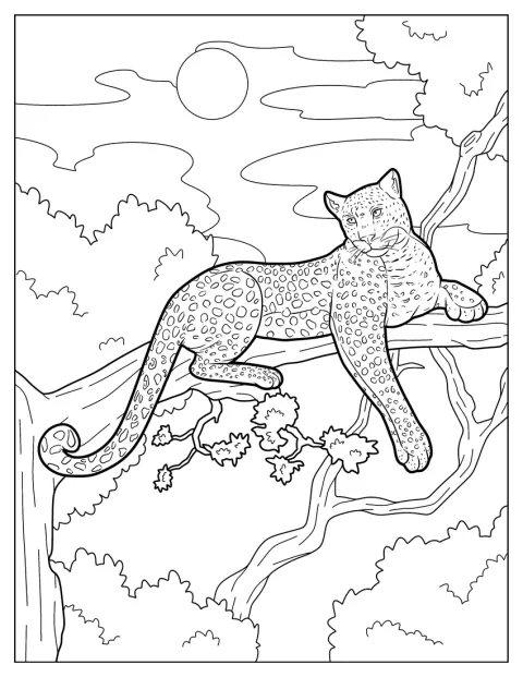Un ghepard mare se odihnește întins pe o creangă de copac.