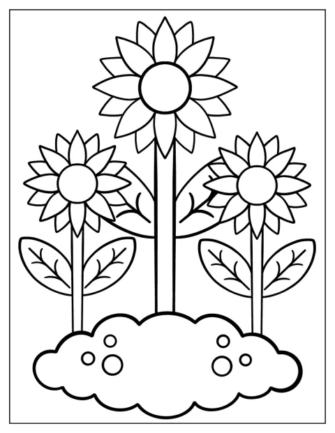 Sonnenblumen stehen als einfache Herbstmotive nebeneinander.