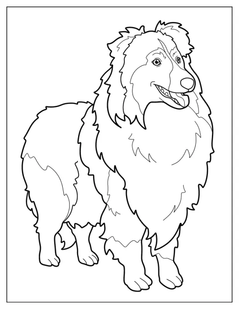 Egy sheltie kutya egyszerű körvonalai láthatók.
