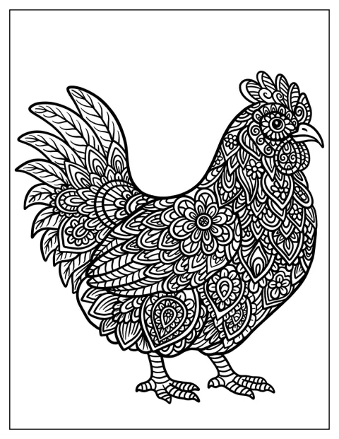 Penele decorative ale unei găini formează o mandală cu modele complicate.